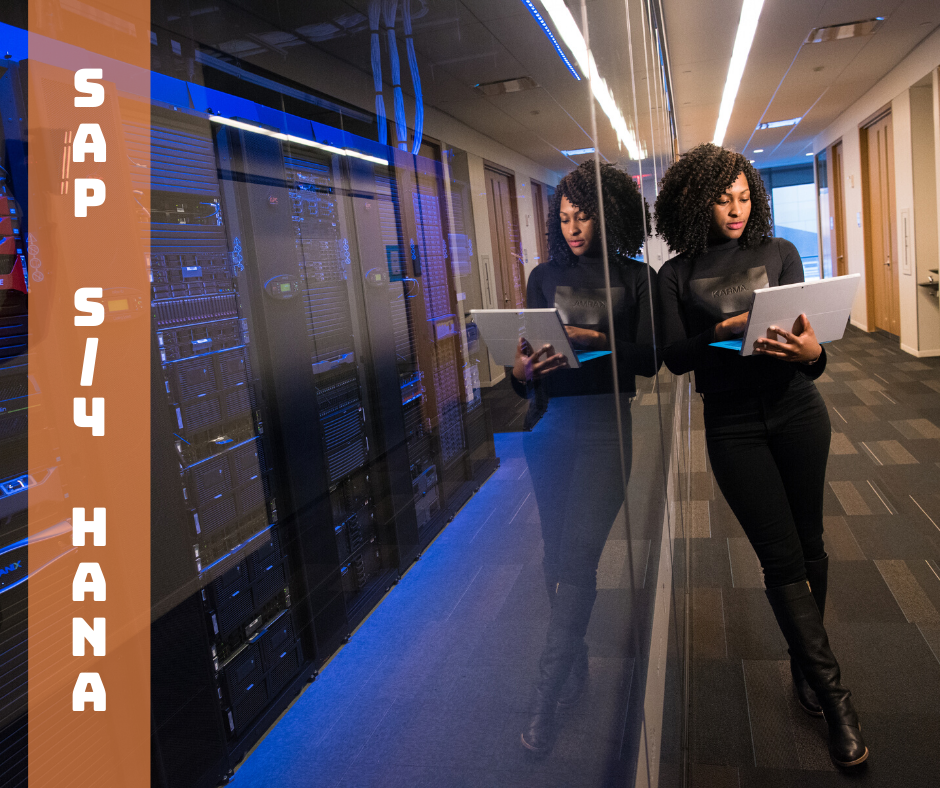 sap cloud curso